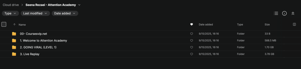 Seena Rezaei – Attention Academy